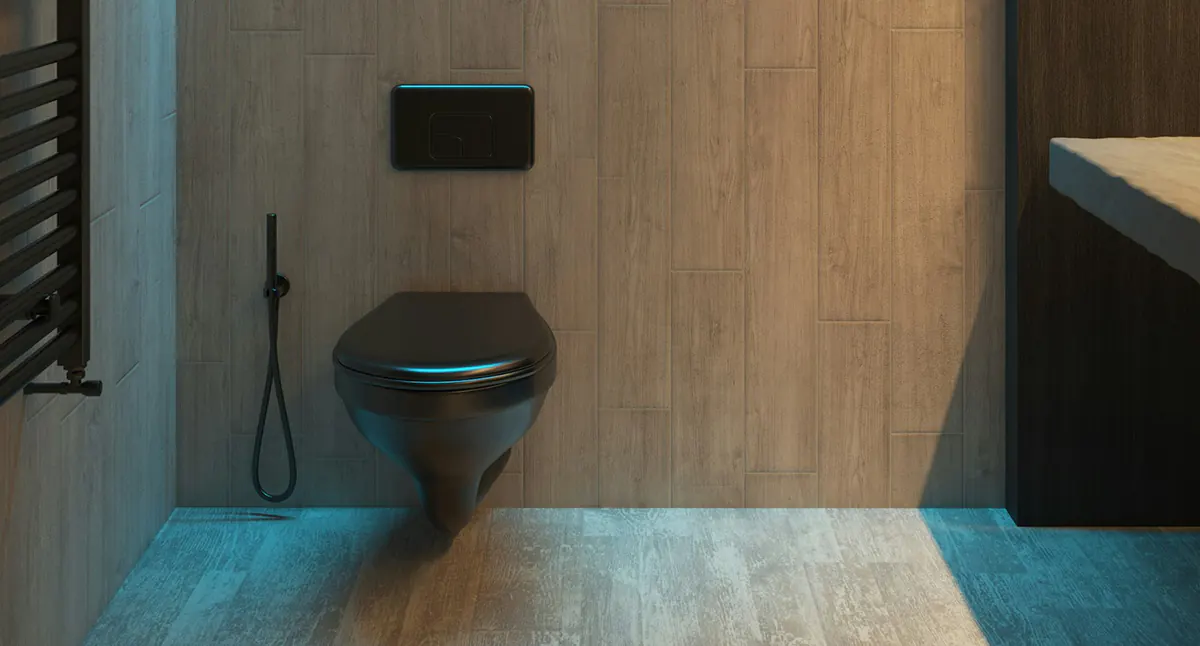 How to unclog a toilet?
