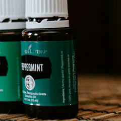 Huile essentielle pour se débarrasser des fourmis