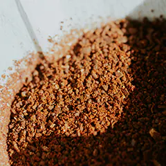 Marc de café pour se débarrasser des fourmis